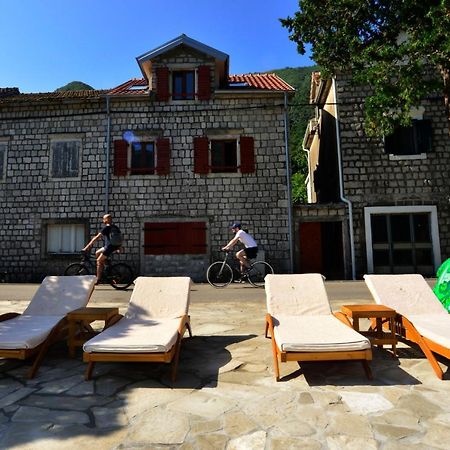 A Hundred Olive Trees Apartments Kotor Exteriör bild