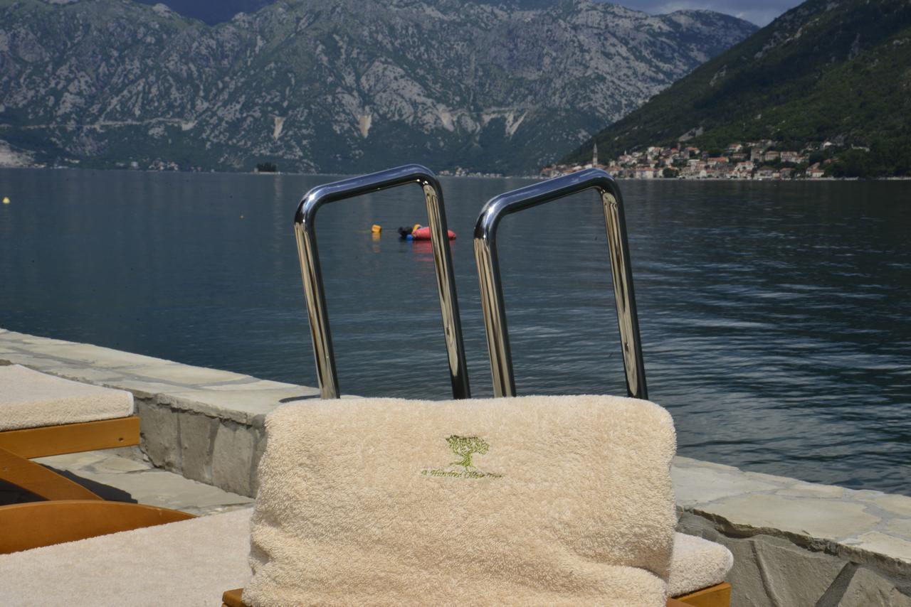 A Hundred Olive Trees Apartments Kotor Exteriör bild
