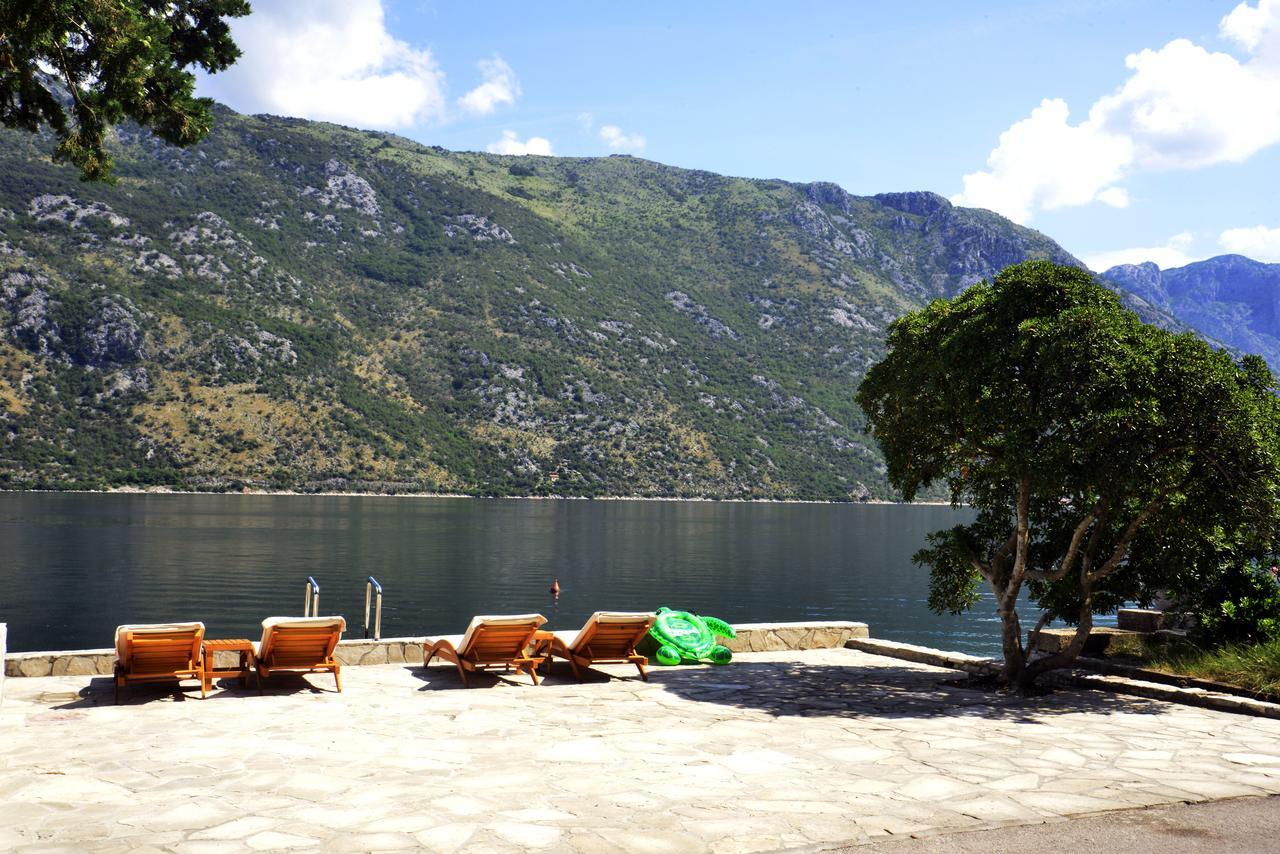 A Hundred Olive Trees Apartments Kotor Exteriör bild