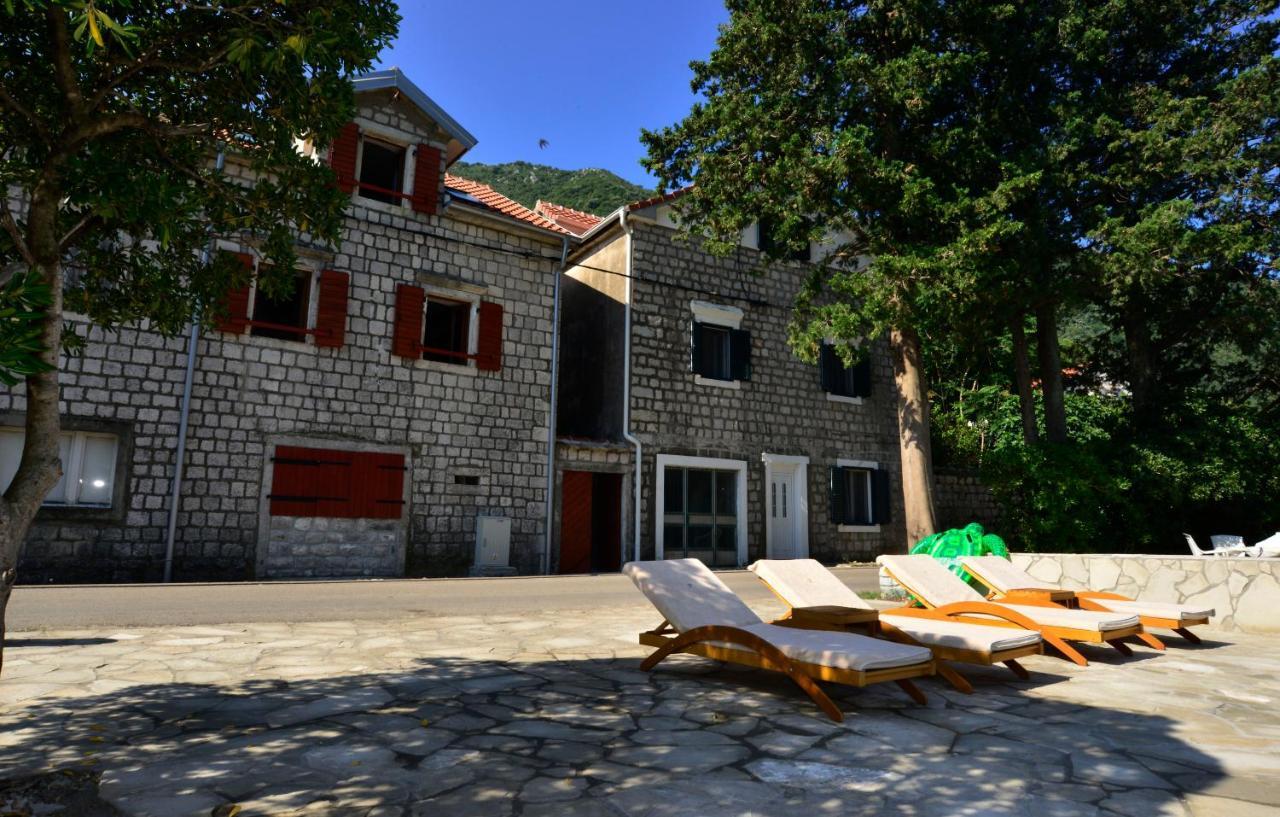 A Hundred Olive Trees Apartments Kotor Exteriör bild
