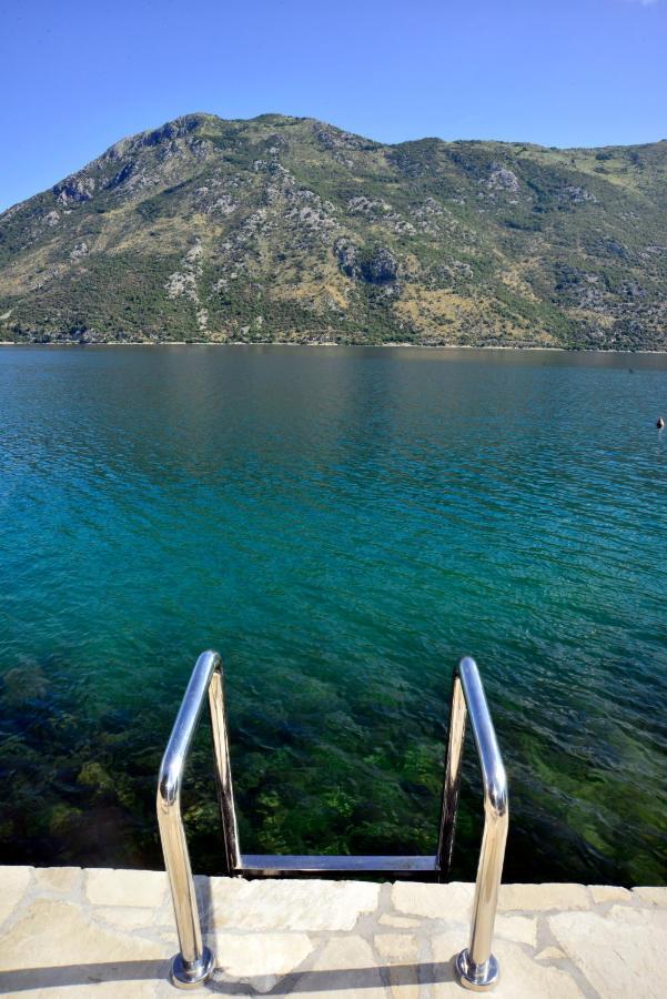 A Hundred Olive Trees Apartments Kotor Exteriör bild