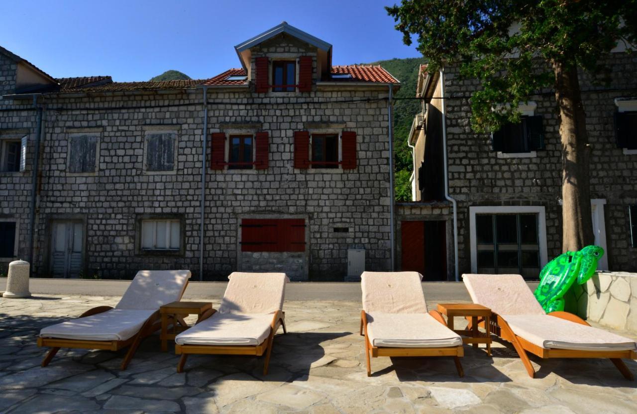 A Hundred Olive Trees Apartments Kotor Exteriör bild