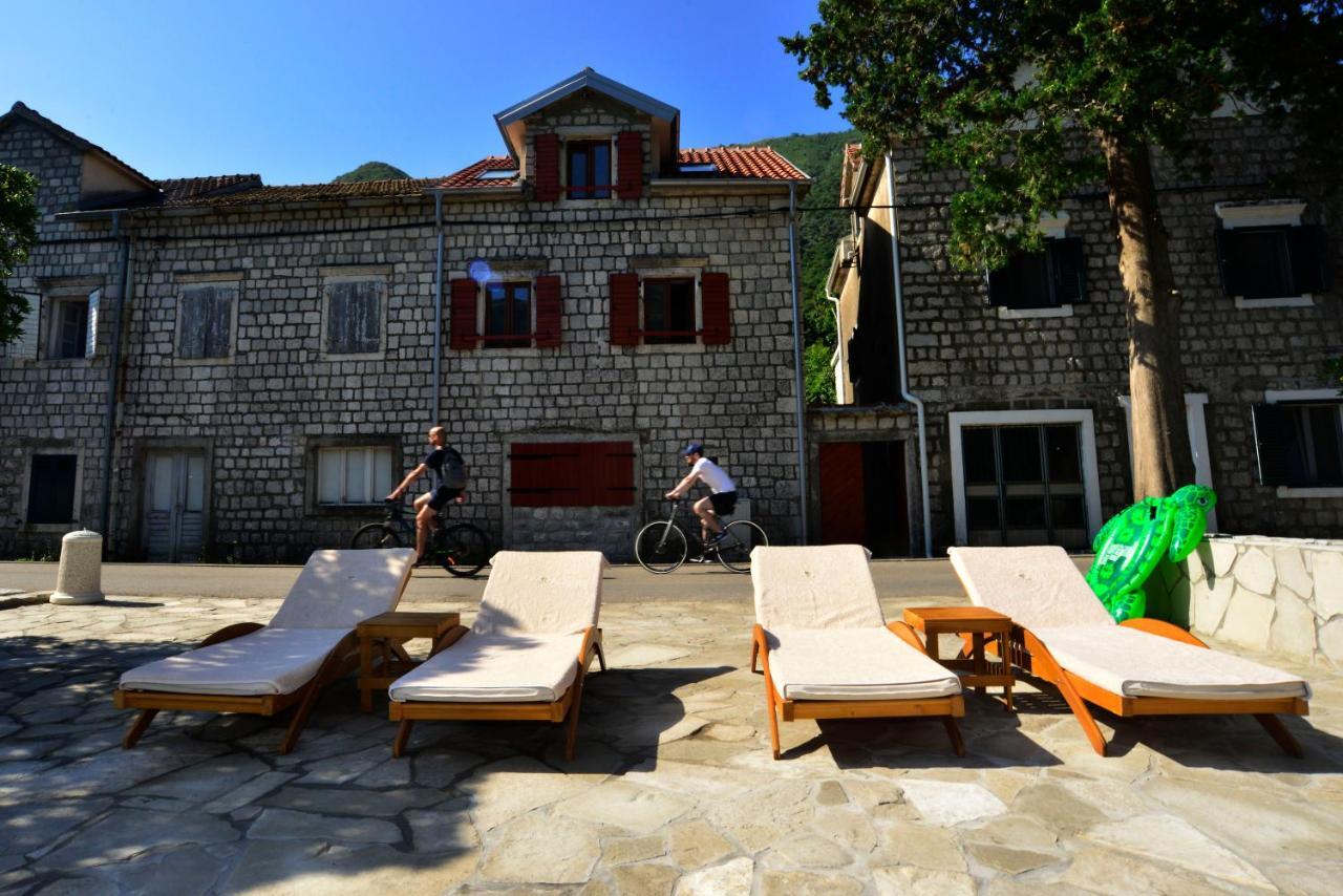 A Hundred Olive Trees Apartments Kotor Exteriör bild